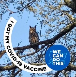 Meet your Posher, Mickey